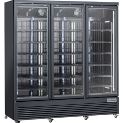 RFG 1900B - Όρθιος καταψύκτης