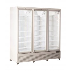 RFG 1900 Καταψύκτης