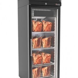 Ψυγείο θάλαμος ξυρής ωρίμανσης DRYB172/MEAT